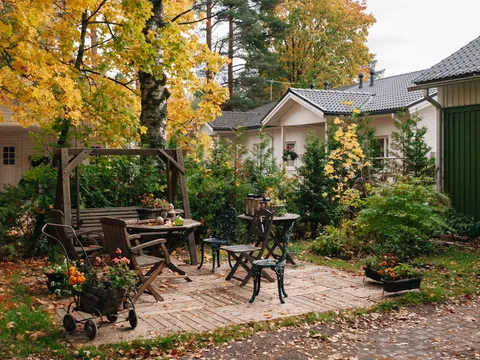 Our professional landscaping team at work