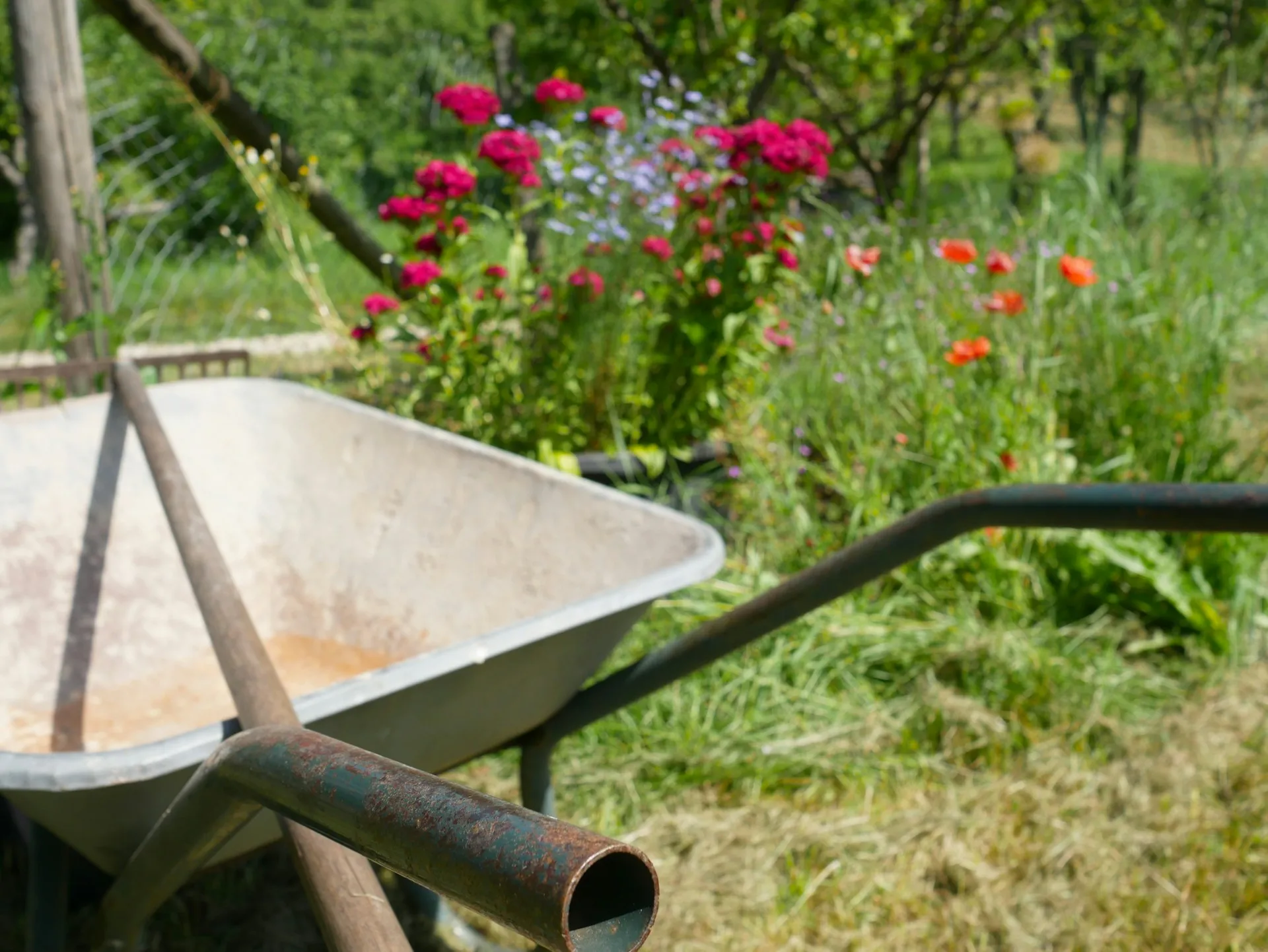 Gardener working on a landscape project