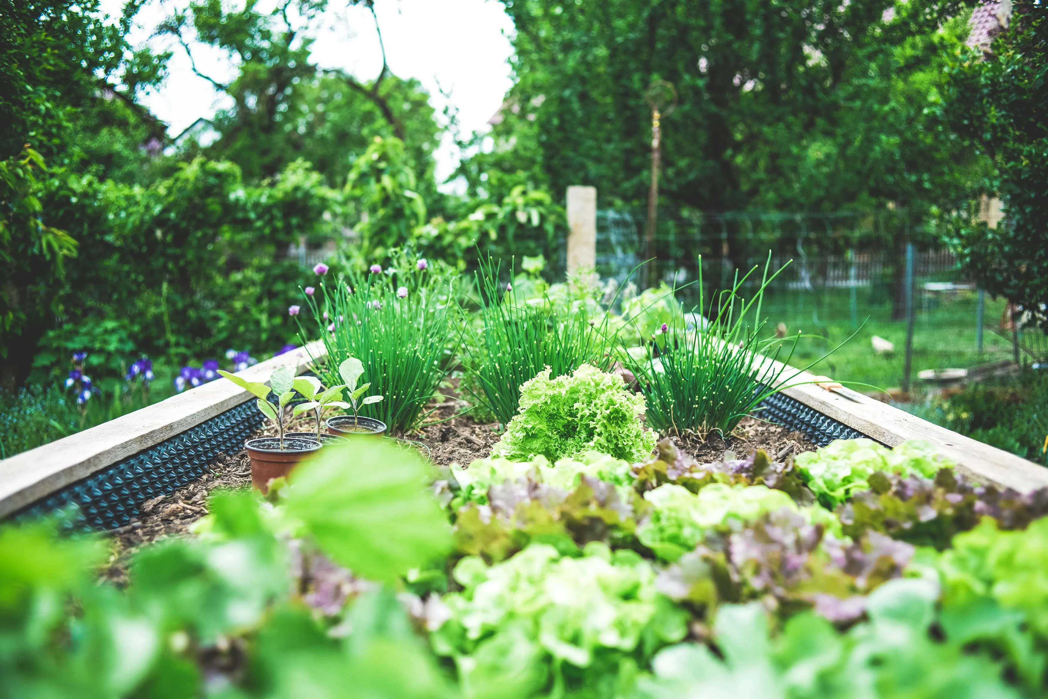 Professional office workspace, representing commercial landscape management